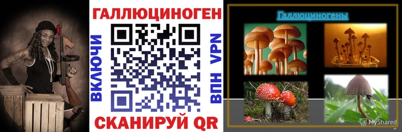 Псилоцибиновые грибы Psilocybe  ссылка на мегу зеркало  Октябрьск 